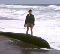 Megan Stolen and pygmy sperm whale