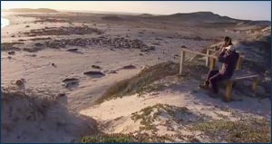 Channel Islands - Treasure of the Sea