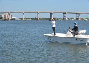 HSWRI Marine Mammal Stranding Team interns