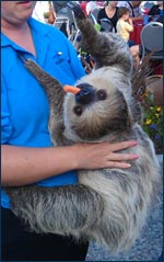 Hubbs-SeaWorld Society Family Barbecue